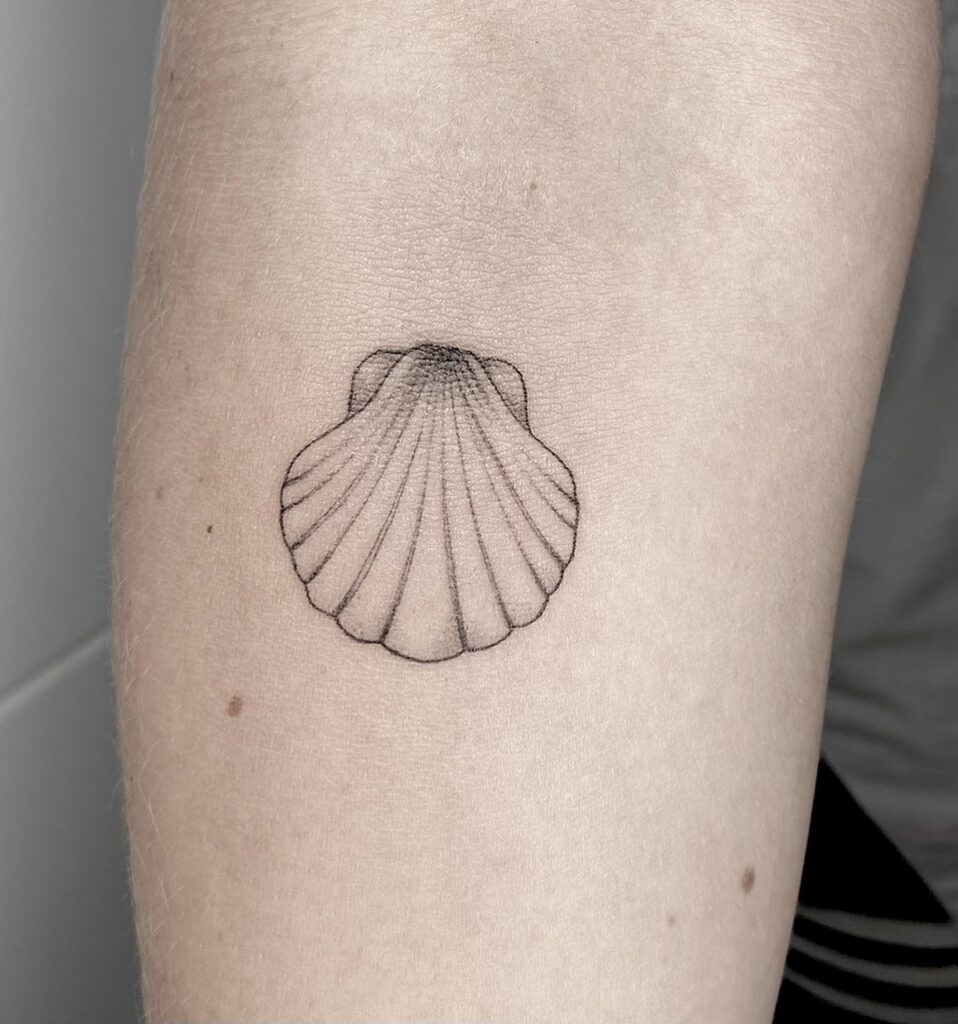 Tatuaje fine line de concha en el brazo